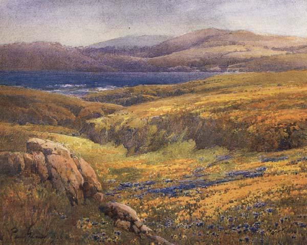 unknow artist Point Lobos in the Springtime Germany oil painting art